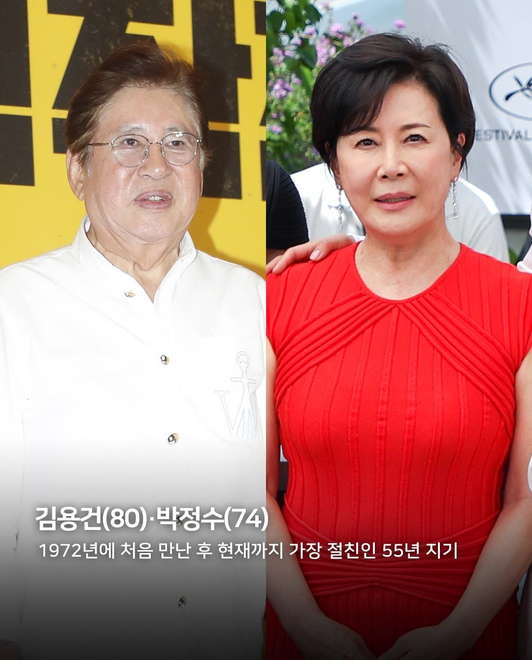 원본 이미지 보기