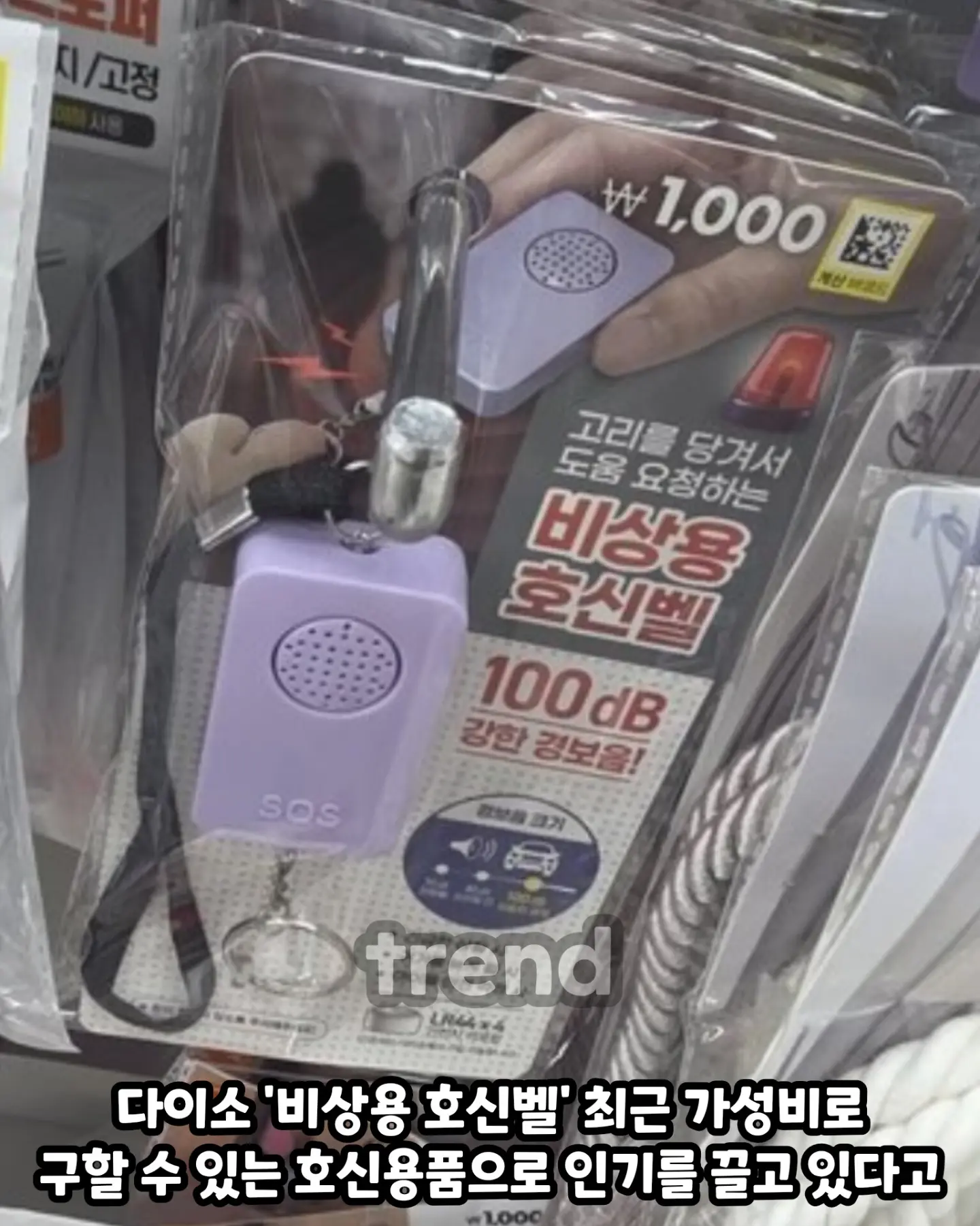 원본 이미지 보기
