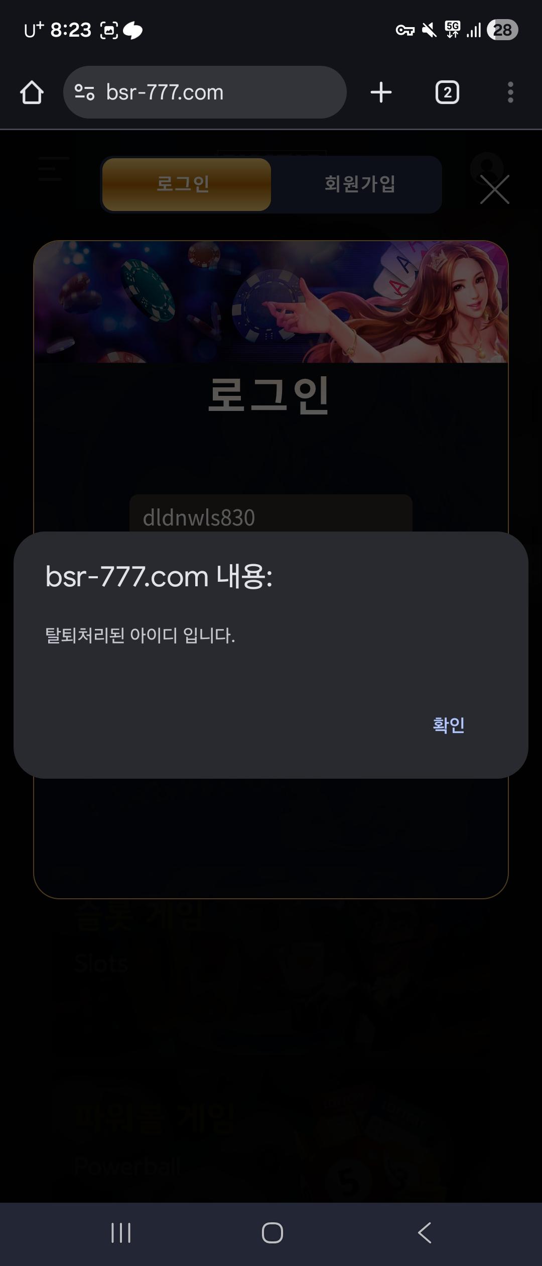 원본 이미지 보기
